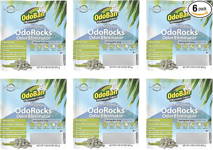 Air Purifying OdoRocks Natural Odor Eliminator Made from Natural Volcanic Rocks, Made in the USA, Fragrance Free, 6-Pack, 2