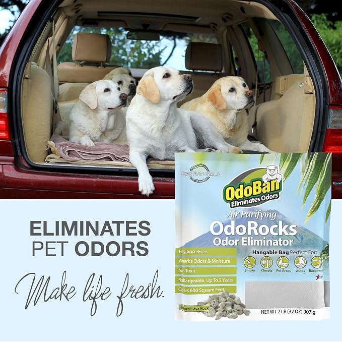 Air Purifying OdoRocks Natural Odor Eliminator Made from Natural Volcanic Rocks, Made in the USA, Fragrance Free, 6-Pack, 2