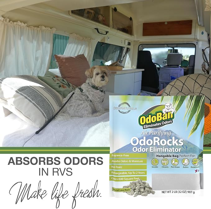 Air Purifying OdoRocks Natural Odor Eliminator Made from Natural Volcanic Rocks, Made in the USA, Fragrance Free, 6-Pack, 2