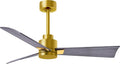 AK-BRBR-BW-42 Alessandra Wet Rated 42" Ceiling Fan without Light, Remote Included, Silent DC Motor, Brushed Brass with Barn