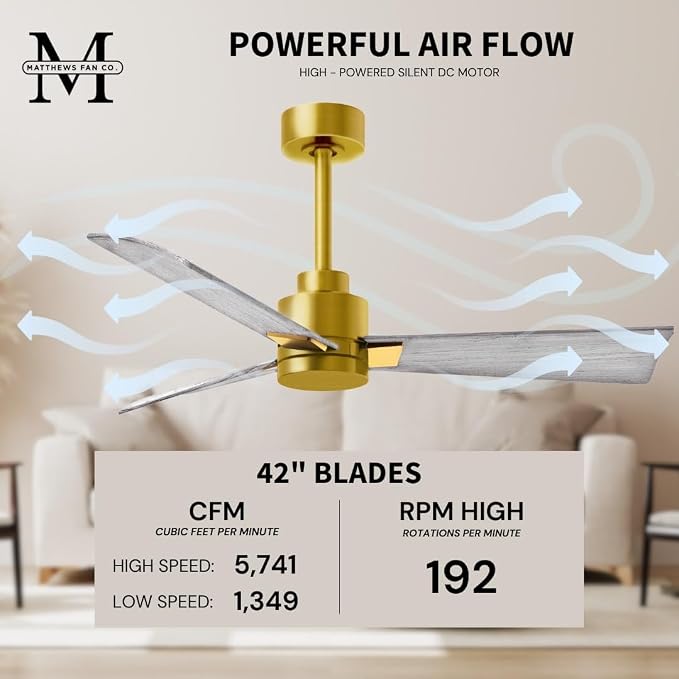 AK-BRBR-BW-42 Alessandra Wet Rated 42" Ceiling Fan without Light, Remote Included, Silent DC Motor, Brushed Brass with Barn