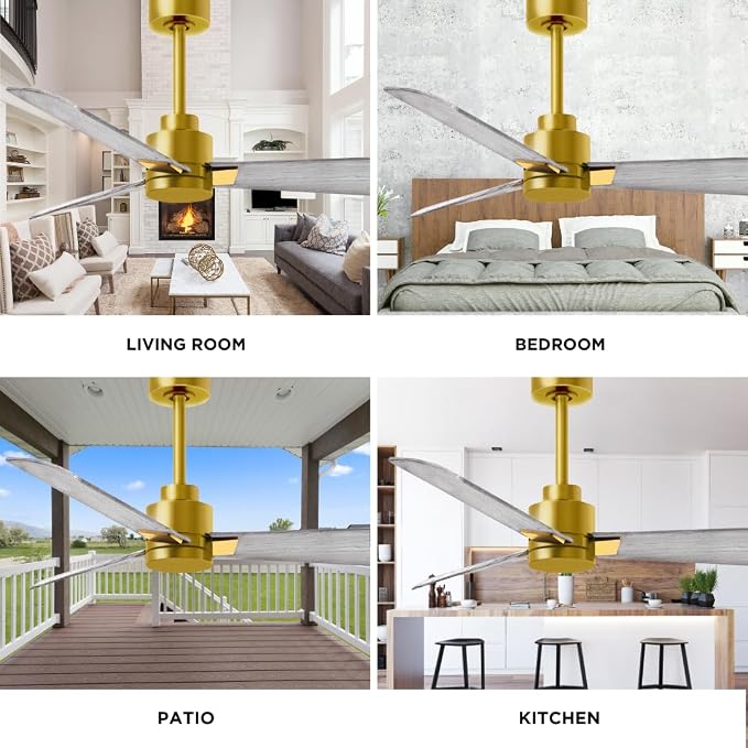 AK-BRBR-BW-42 Alessandra Wet Rated 42" Ceiling Fan without Light, Remote Included, Silent DC Motor, Brushed Brass with Barn
