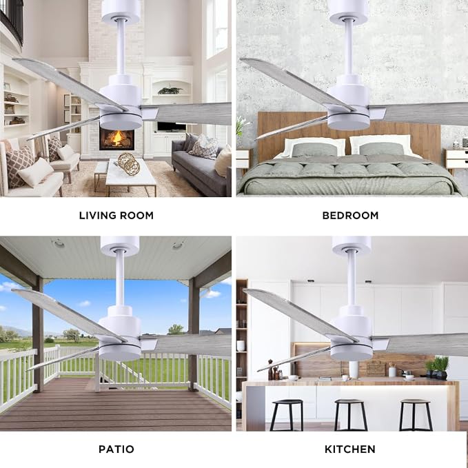 AK-MWH-BW-42 Alessandra Wet Rated 42" Ceiling Fan without Light, Remote Included, Silent DC Motor, Matte White with Barn Wood