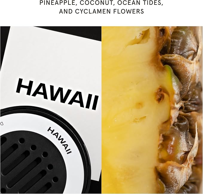 and Homesick - Fragrance for Car Diffuser - Clean & Safe Luxury Diffuser Scent - Long-Lasting Fragrance for 30 Days of Aroma