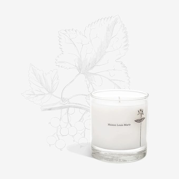 Antidris Cassis Soy Wax Candle | Luxury Fragrance s for a Modern World (8.5 oz | 240 g), alternate product view 2