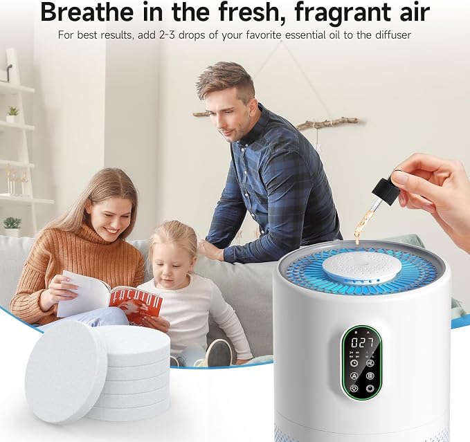AP02 Replacement Filter Compatible with AP02 Air Purifier, 3-in-1 H13 True HEPA Filter with Activated Carbon, 2 Pack