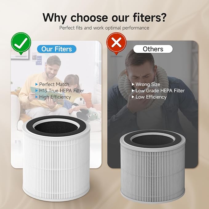 AP02 Replacement Filter Compatible with AP02 Air Purifier, 3-in-1 H13 True HEPA Filter with Activated Carbon, 2 Pack