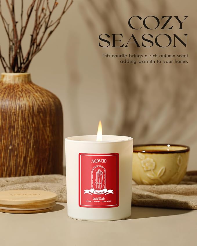 Apple Cinnamon Scented Candles for Women - Aromatherapy Candle with Crystals Inside, 10oz Soy Candles for Home Scented