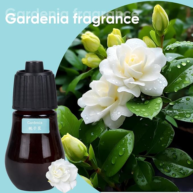 Aromatherapy Essential Oil Set - 3-Piece Essential Oil Set in Three Flavors: Sandalwood, Gardenia, Clove Flower, alternate