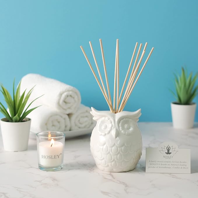 Aromatherapy Vanilla Diffuser Oil with Ceramic Owl Farmhouse Bottle & Reed Sticks - 110ml Ideal Gift for Home Decor
