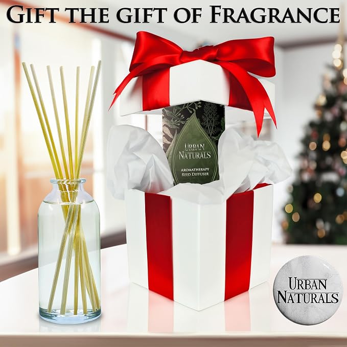 Autumn Woods Reed Diffuser Set - Dark Walnut, English Lavender and White Amber - A Fresh, Earthy, alternate product view 6