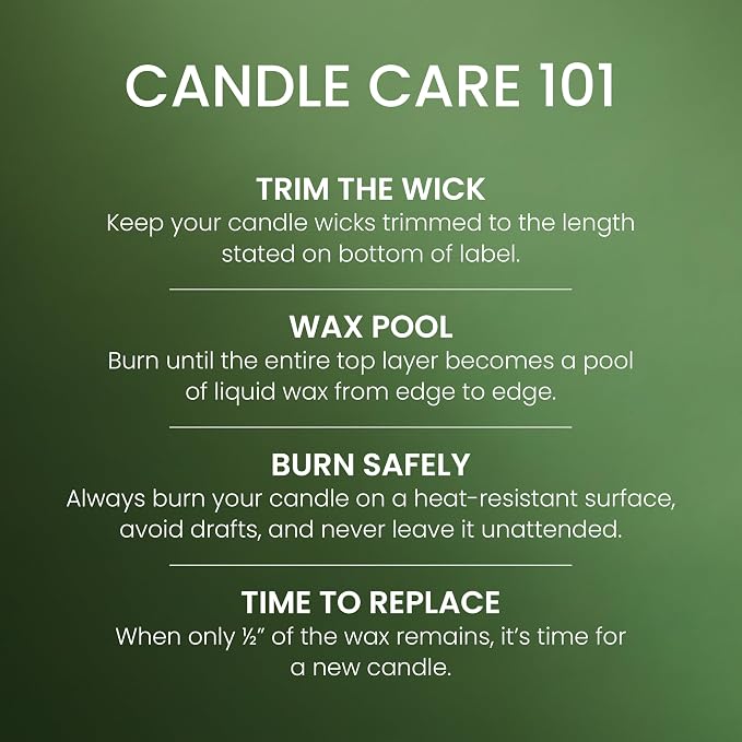 Balsam & Cedar, Scented Candle, 22oz Large Jar with up to 150 Hour Burn Time, Giftable, alternate product view 4