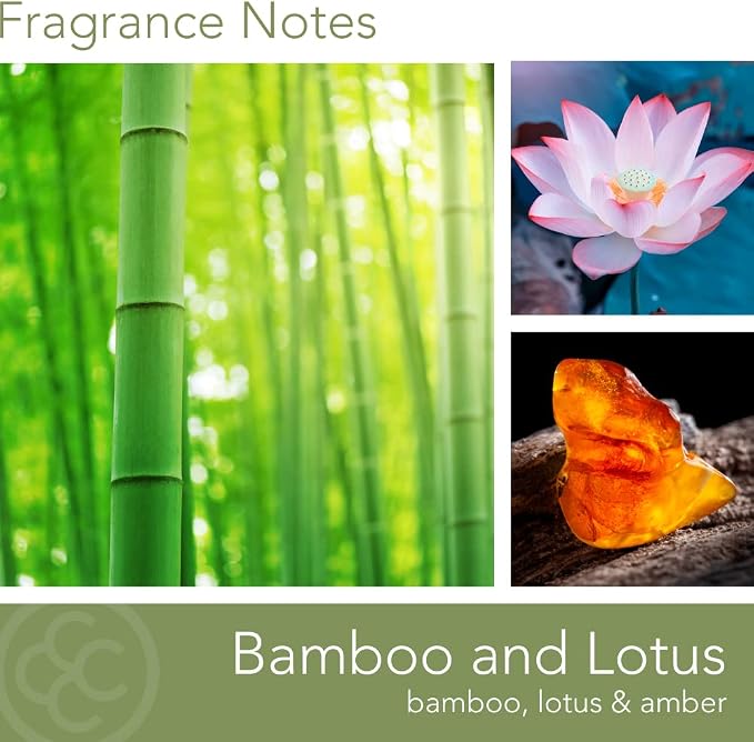 Bamboo Lotus Scented Candle, 16 oz comfort Relaxing Aromatherapy Candle, 2 Wick White Jar Soy Blend Wax, Candles for Home