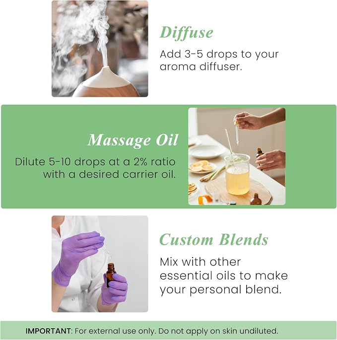 Basil Essential Oil – 1 Fl Oz – 100% Pure and Natural – Premium Grade Essential Oil for Diffuser and Aromatherapy, Skin