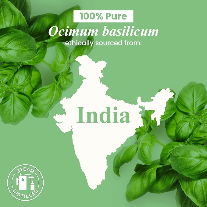 Basil Essential Oil – 1 Fl Oz – 100% Pure and Natural – Premium Grade Essential Oil for Diffuser and Aromatherapy, Skin