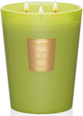 Basil Ginger Scented Candle 35oz 150H Burn Time Long Lasting, 3-Wick Natural Aromatherapy Candle Highly Scented, Home
