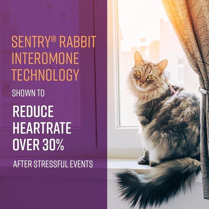 Behavior Portable Calming Diffuser for Cats, Reduces Stress and Bad Behavior with Calming Pheromones, Easy-to-use Portable