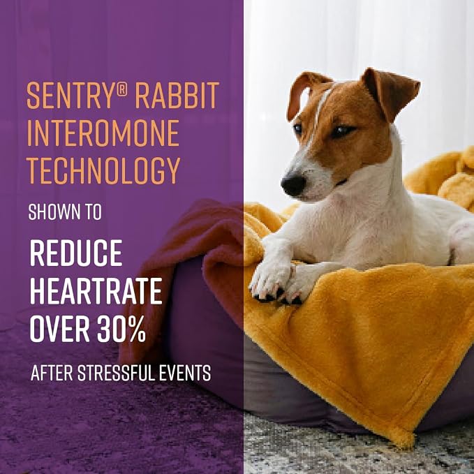 Behavior Portable Calming Diffuser for Dogs, Reduces Stress and Bad Behavior with Calming Pheromones, Easy-to-use Portable