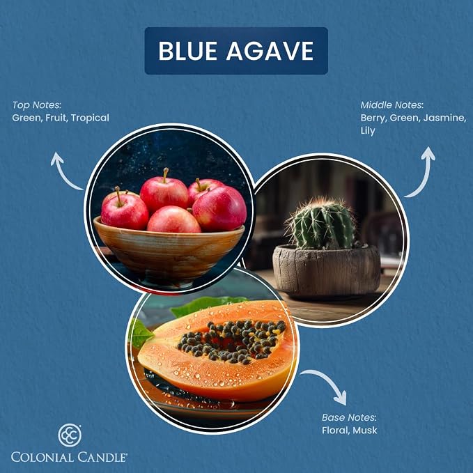 Blue Agave Scented Jar Candle, Pop of Color Collection, 3 Wick, 14.5 oz - Up to 60 Hours Burn, alternate product view 2