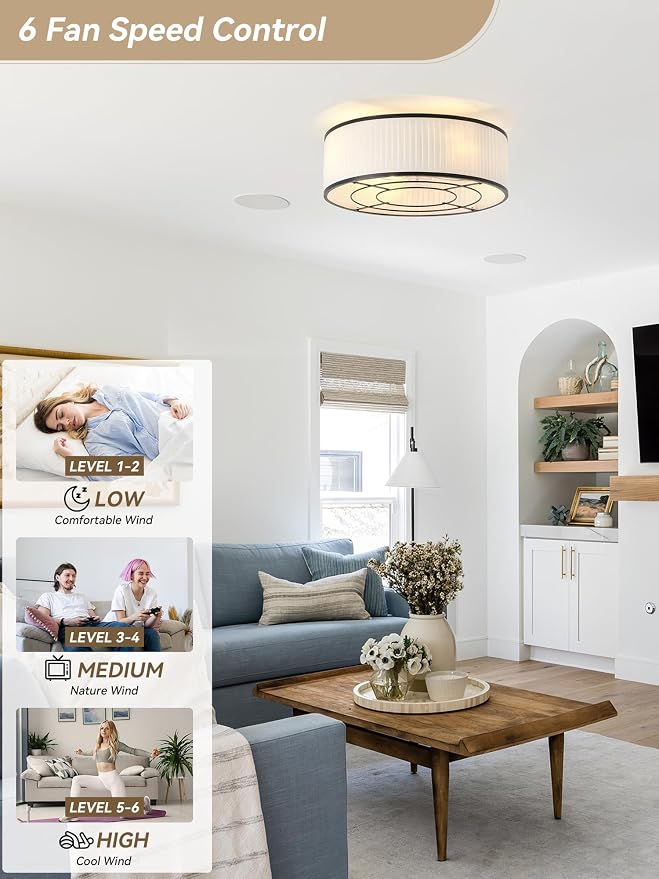 Boho Ceiling Fan with Light Flush Mount, 20" Black Caged Ceiling Fan with Lights Remote Control, Bladeless Ceiling Fan 6