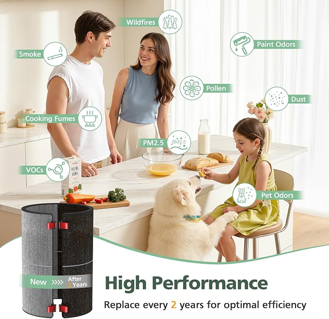 BP03 BP04 BP06 Activated Carbon Filter Compatible with Purifier Big + Quiet, For Models BP03, BP04, BP06, alternate