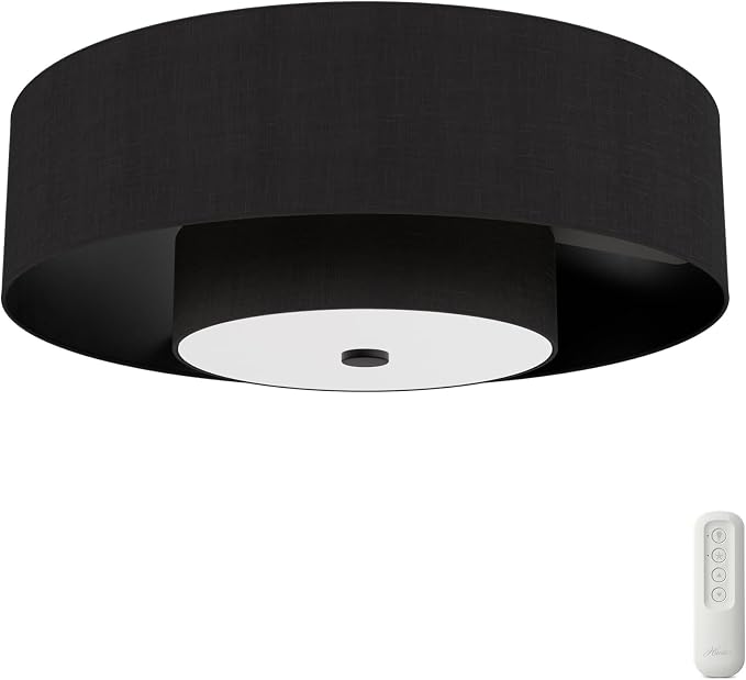 Brookside Indoor Fandelier with Light, Remote, 30-inch, Casual-Style, 3-Speed WhisperWind Motor, 52975, Ceiling Fans for