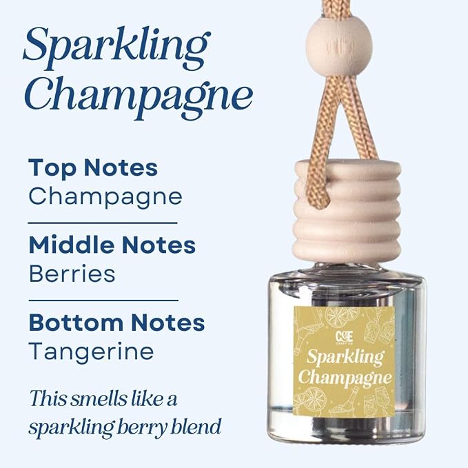 C&E Craft Co Hanging Car Air Freshener Diffuser 2 Pack, Long Lasting Fragrance Oil Car Freshener, Glass Bottle Auto Air
