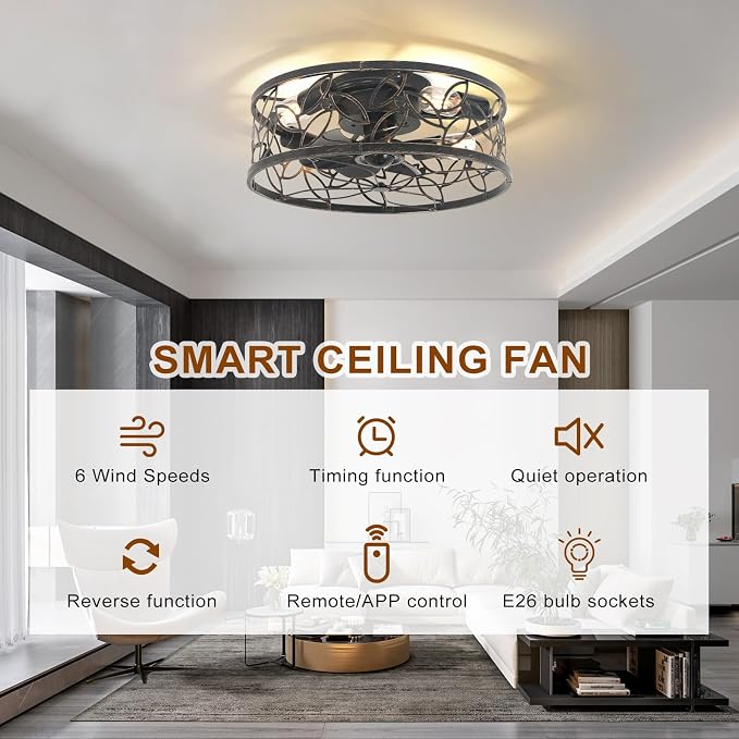 Caged Ceiling Fan with Light,18in Rustic Industrial Ceiling Fans with Lights and Remote,Bladeless Fandelier Ceiling Fan,Small