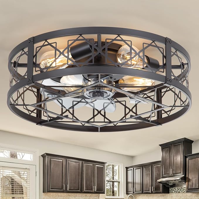 Caged Ceiling Fan with Light, 20" Ceiling Fan with Lights and Remote Flush Mount, Bladeless Caged Ceiling Fans with Lights
