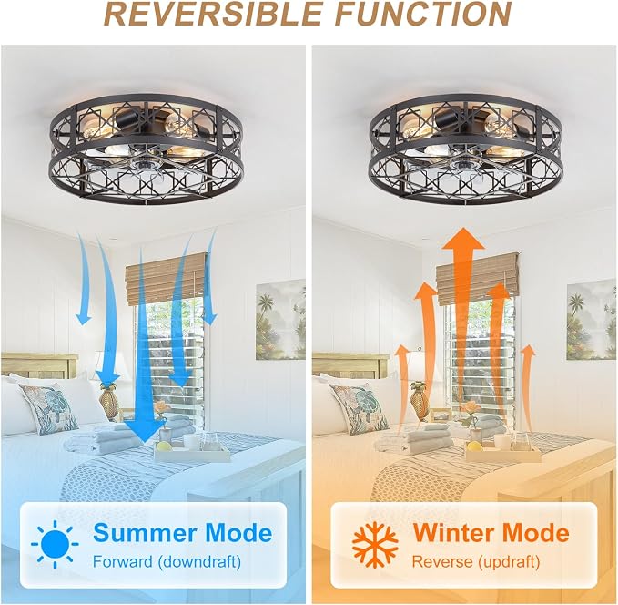 Caged Ceiling Fan with Light, 20" Ceiling Fan with Lights and Remote Flush Mount, Bladeless Caged Ceiling Fans with Lights