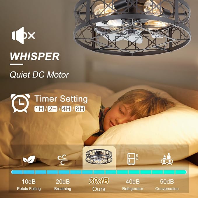 Caged Ceiling Fan with Light, 20" Ceiling Fan with Lights and Remote Flush Mount, Bladeless Caged Ceiling Fans with Lights