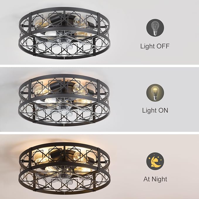 Caged Ceiling Fan with Light, 20" Ceiling Fan with Lights and Remote Flush Mount, Bladeless Caged Ceiling Fans with Lights