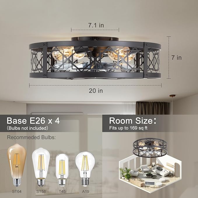 Caged Ceiling Fan with Light, 20" Ceiling Fan with Lights and Remote Flush Mount, Bladeless Caged Ceiling Fans with Lights