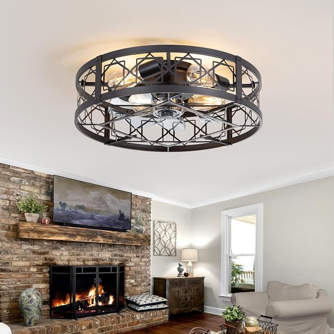 Caged Ceiling Fan with Light, 20" Ceiling Fan with Lights and Remote Flush Mount, Bladeless Caged Ceiling Fans with Lights