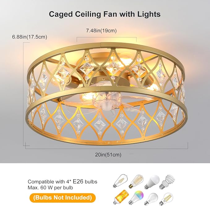 Caged Ceiling Fan with Light,20" Ceiling Fans with Lights and Remote,Bladeless Fandelier Small Low Profile Ceiling Fan Light