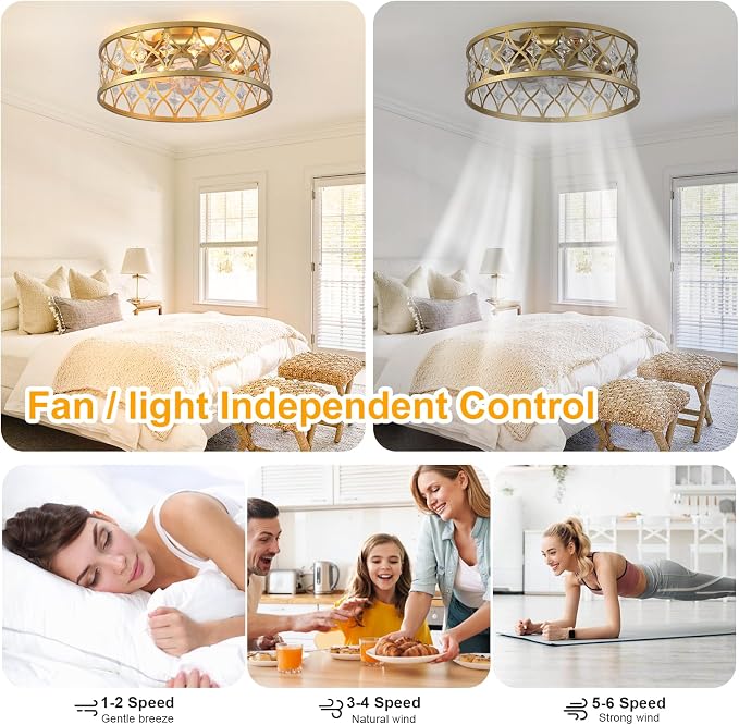Caged Ceiling Fan with Light,20" Ceiling Fans with Lights and Remote,Bladeless Fandelier Small Low Profile Ceiling Fan Light