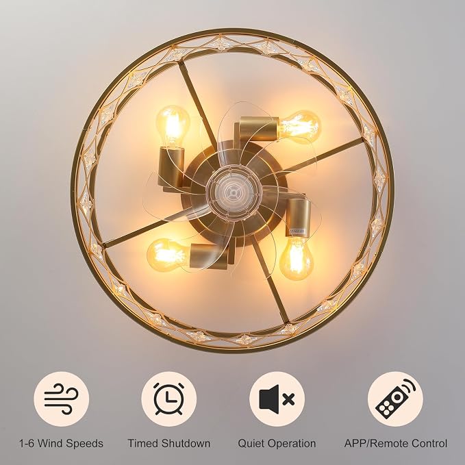 Caged Ceiling Fan with Light,20" Ceiling Fans with Lights and Remote,Bladeless Fandelier Small Low Profile Ceiling Fan Light