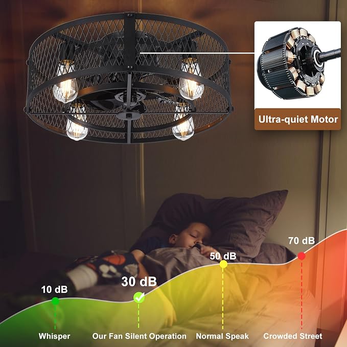 Caged Ceiling Fan with Light: 20" Flush Mount Ceiling Fans with Remote - Farmhouse Black Fandelier - Industrial Ceiling Fan