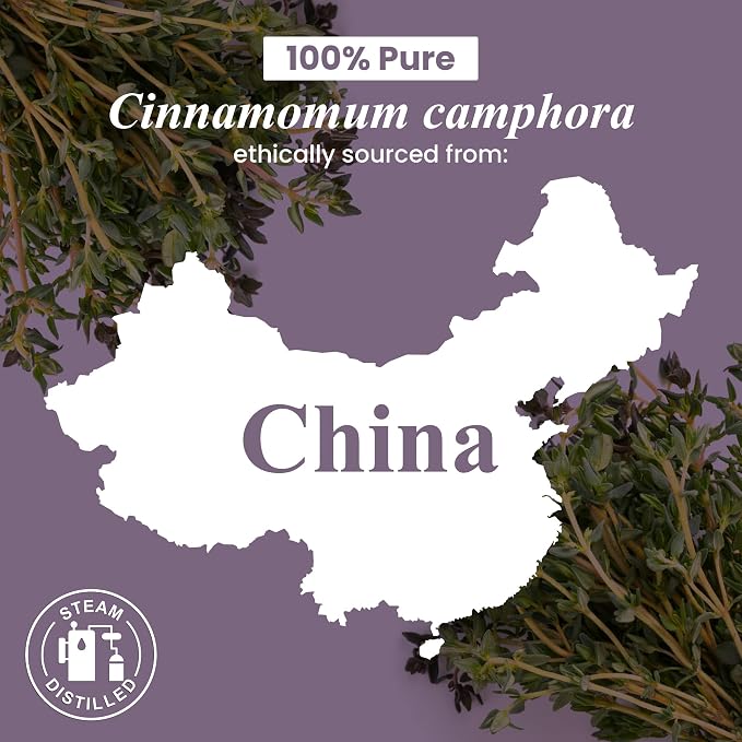 Camphor Essential Oil – Huge 4 Fl Oz – 100% Pure and Natural – Premium Grade Essential Oil for Diffuser and, alternate