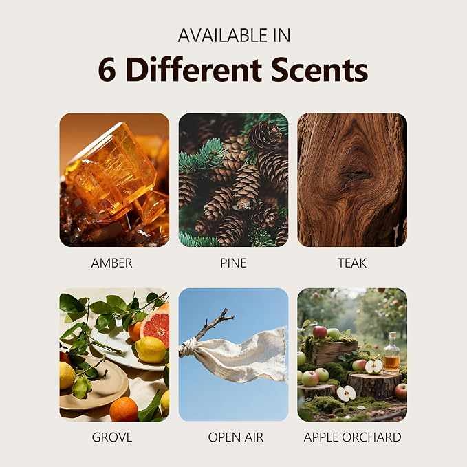 Car Air Freshener, 2-in-1 Stone Car Freshener with Visor Clip & Hanging Scent Diffuser, Natural Scent Stone Diffuser
