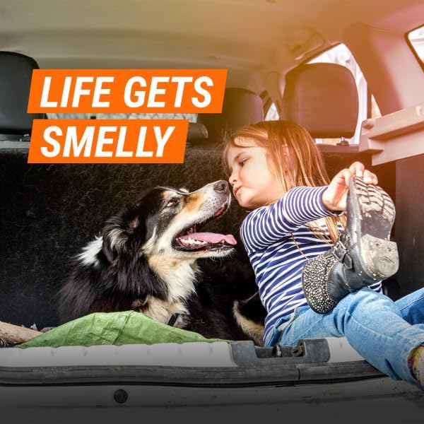 Car Air Freshener and Purifier, Car Odor Eliminator, Stocking Stuffers, 1.5 Ounce (Pack of 3), alternate product view 7