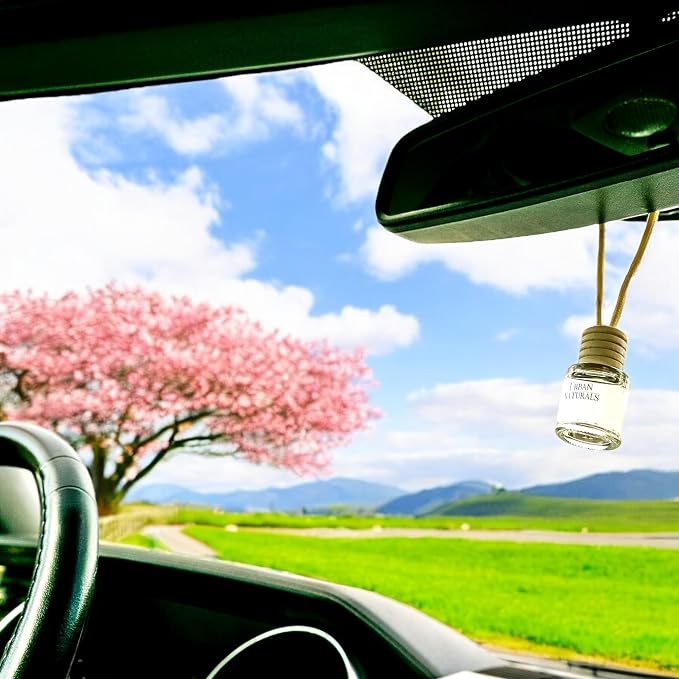 Car Air Freshener Diffuser 1 Pack - Cherry Luxe Scent, 45+ Days Long Lasting Fragrance, Made in USA, Glass & Wood, alternate