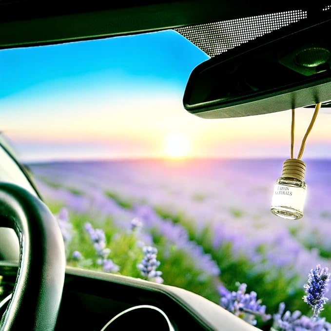 Car Air Freshener Diffuser 1 Pack - Lavender Luxe Scent, 45+ Days Long Lasting Fragrance, Made in USA, Glass & Wood