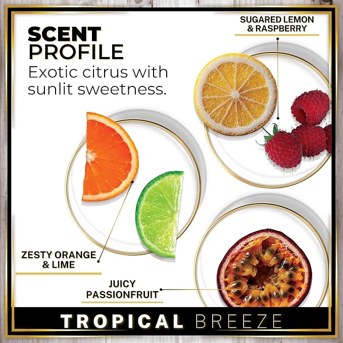 Car Air Freshener Diffuser 1 Pack - Tropical Breeze Scent, 45+ Days Long Lasting Fragrance, Made in USA, Glass & Wood