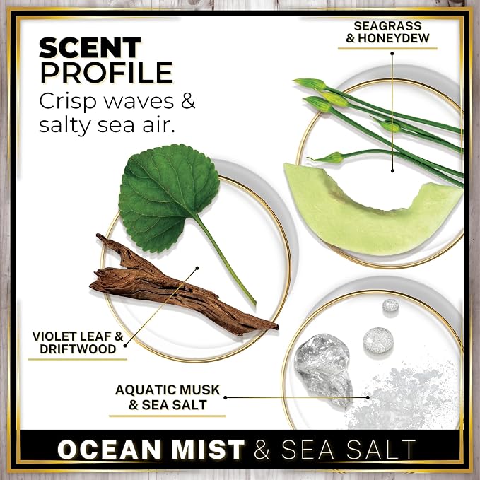Car Air Freshener Diffuser 3 Pack - Ocean Mist & Sea Salt Scent, 45+ Days Long Lasting Fragrance, Made in USA, alternate