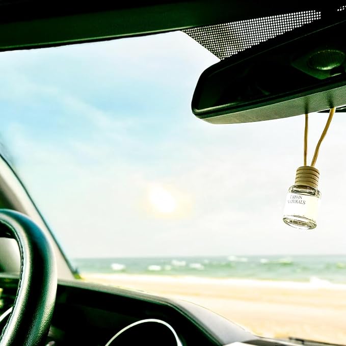 Car Air Freshener Diffuser 3 Pack - Ocean Mist & Sea Salt Scent, 45+ Days Long Lasting Fragrance, Made in USA, alternate