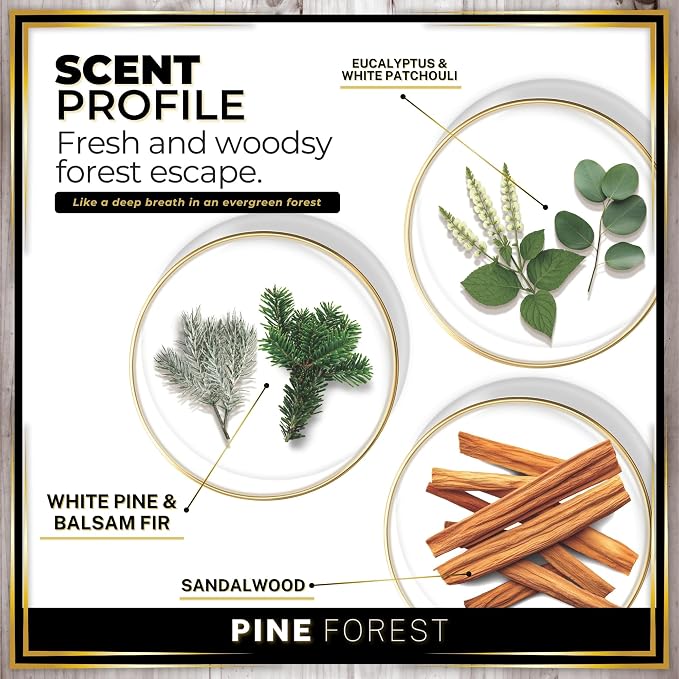 Car Air Freshener Pine Forest Scent Diffuser, Long Lasting Car Fresheners Made in USA, Odor Eliminating Technology, alternate