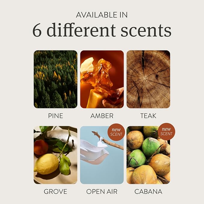 Car Air Freshener - The Original Stone Air Freshsener - Car Odor Eliminator - Long Lasting Scent - Car Accessories - Metal
