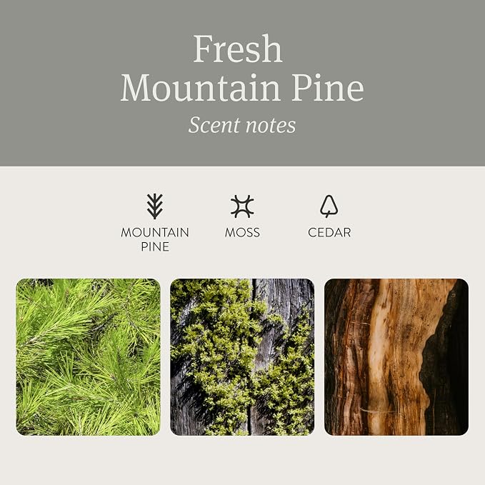Car Air Freshener - The Original Wood Air Freshener - Car Odor Eliminator - Long Lasting Scent - Metal Clip - Essential Oils