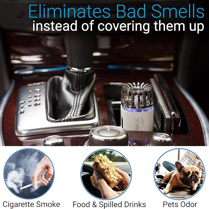 Car Air Purifier Ionizer - 12V Plug-in Ionic Anti-Microbial Car Deodorizer with Dual USB Charger - Smoke Smell, Pet and Food